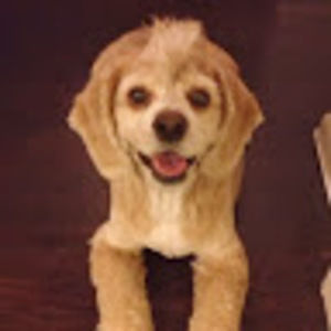 Meet your Posher, Shellane